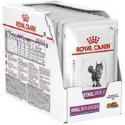 تصویر سوپ پوچ رنال رویال کنین گربه - Royalcanin Renal 