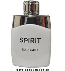 تصویر ادکلن جیبی مردانه دلگادو مدل لجند اسپریت perfume Delgado Legend Spirit حجم 30 میل perfume Delgado Legend Spirit