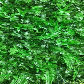 تصویر گرین وال سیکاس جعفری 