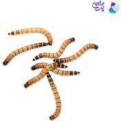 تصویر غذای کرم سوپر ورم ۱۰۰ گرمی 