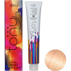 تصویر رنگ مو تونی سری اکسپرتس شماره RT1 حجم 100 میلی لیتر رنگ گلبهی 