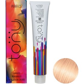 تصویر رنگ مو تونی سری اکسپرتس شماره RT1 حجم 100 میلی لیتر رنگ گلبهی 