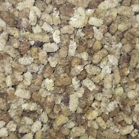 تصویر توت خشک یک کیلویی درجه دو 