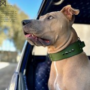 تصویر قلاده چرمی سگ 