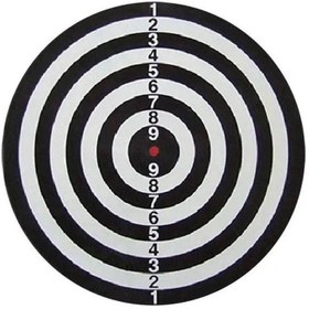 تصویر دارت سوزنی 12 اینچی 