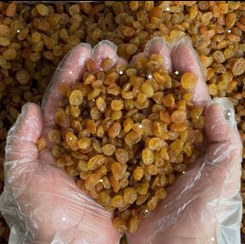 تصویر کشمش پلوی ترو تازه 