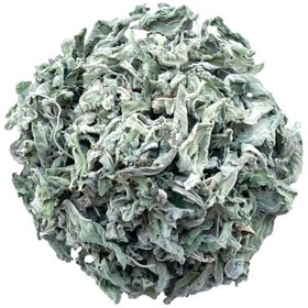 تصویر برگ پونه کوهی 