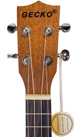 تصویر یوکللی جکو GECKO 