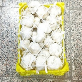 تصویر سیر همدان درجه یک 