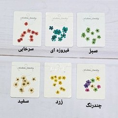 تصویر گل خشک اسپیره - دیجی رزین 