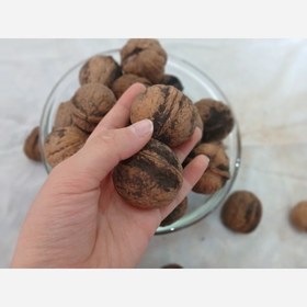 تصویر گردوی محلی تویسرکان 