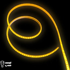 تصویر ریسه شلنگی 220ولت 