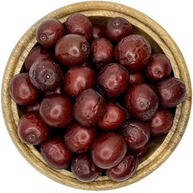 تصویر عناب تازه 