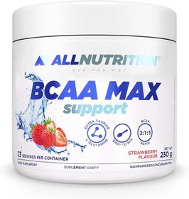 تصویر بی سی ای ای مکس ساپورت 250 گرم آل نوتریشن ALLNUTRITION BCAA Max Support 250g