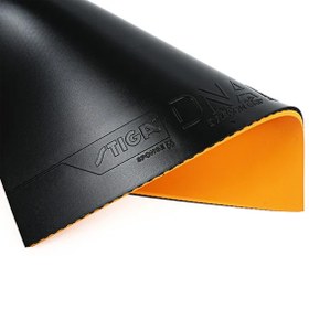 تصویر رویه DNA Dragon Grip استیگا 