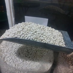 تصویر لوبیا سفید درجه یک 