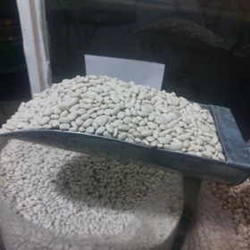 تصویر لوبیا سفید درجه یک 