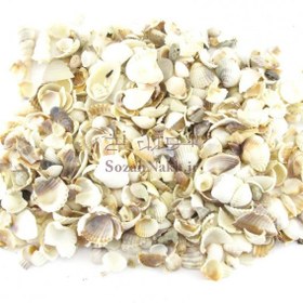 تصویر صدف شکسته 