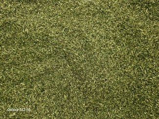 تصویر جعفری خشک نیشابور الک شده 