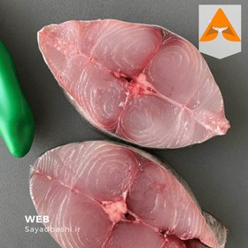 تصویر ماهی شیر 