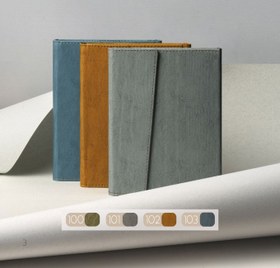 تصویر سررسید مدل 100 