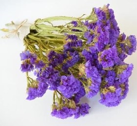 تصویر گل خشک لیمونیوم 