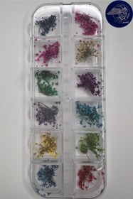 تصویر گل خشک 