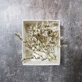 تصویر گل خشک سفید-01 