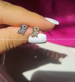 تصویر پیرسینگ دایناسور سفید 