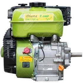 تصویر موتور تک دیانا ۷ اسب تسمه ای گیربکس دار DIANA-7HP