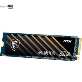 تصویر اس اس دی ام اس آی SPATIUM M390 NVMe M.2 250GB SSD MSI SPATIUM M390 NVMe M.2 250GB