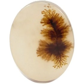 تصویر سنگ شجر کد 3031 