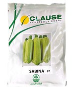 تصویر بذر کدو هیبرید سبز سابینا(کلوز فرانسه)(100gr) 