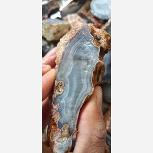 تصویر فروشگاه علی دور