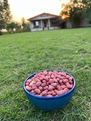 تصویر بادام زمینی بادام محلی شیرین تازه برشته