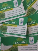 تصویر علف لیمو اعلا 100 گرمی Fresh Lemongrass 100 g