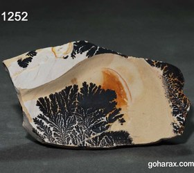 تصویر سنگ فسیل شجر دندریت 