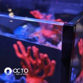 تصویر آکواریوم لوکس مدل T90 ریف اختاپوس به صورت کامل Reef Octopus LUX T90 Aquarium System