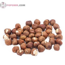 تصویر مغز فندق با سبوس 