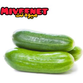 تصویر خیار یک کیلویی اصفهان بسته بندی میوه نت Isfahan cucumber 1kilo fresh packing miveenet