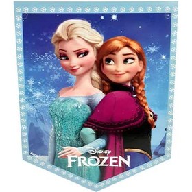 تصویر ریسه تم السا و آنا (2 متری) 