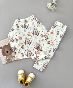 تصویر خونگی ریلی جامک 