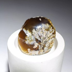 تصویر سنگ عقیق شجر هفت رنگ زمینه خرمایی 