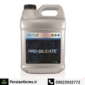 تصویر کود پرو سیلیکات گروتک نیم لیتری pro silicate 500ml 