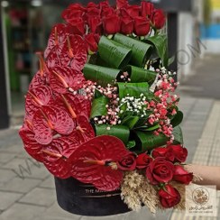 تصویر پالم واشنگتن - گـلـفـروشی آنـلایـن زنبور | کد: ZNB-FAO 