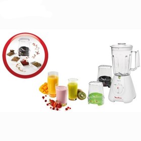 تصویر مخلوط کن مولینکس مدل LM302 Moulinex LM302 Blender