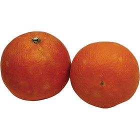 تصویر میوه پرتقال درجه یک 1 کیلوگرمی 