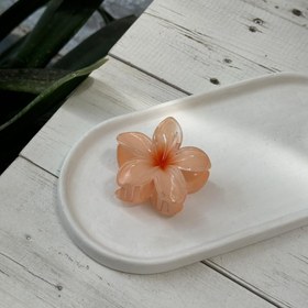 تصویر کیلیپس طرح گل کد C239 