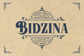 تصویر فونت نمایشگر قدیمی Bidzina 