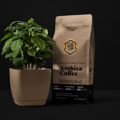 تصویر قهوه عربیکا هندوراس | HONDURAS ARABICA 